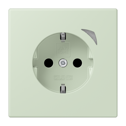 JUNG HOME SCHUKO® розетка Energy, BT LC 1521 SE218