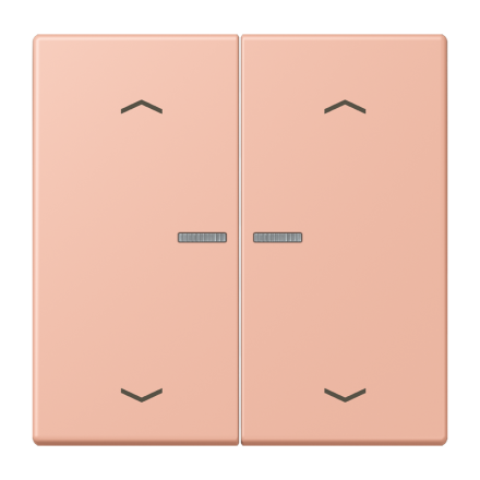 JUNG HOME кнопка, 2 группы с символами «стрелки», BT LC 17102 P231