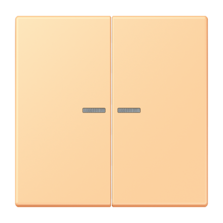 JUNG HOME кнопка, 2 группы, BT LC 17102258