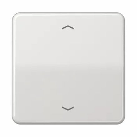 CD590PLG Клавиша для одинарной кнопки BCU; светло-серая