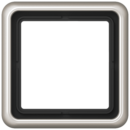 CD581PT Рамка для вертикальной и горизонтальной установки, однократная, платина