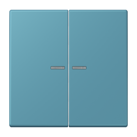 JUNG HOME кнопка, 2 группы, BT LC 17102212