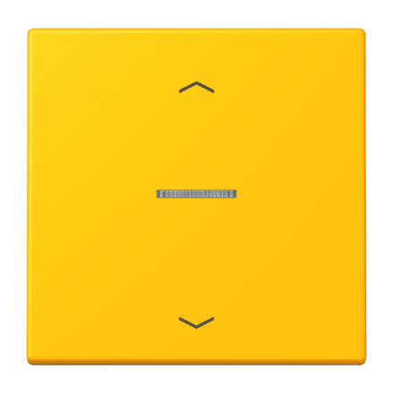 JUNG HOME кнопка, 1 группа с символами «стрелки», BT LC 17101 P263