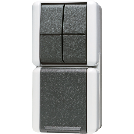 875W Комбинация - розетка и сдвоенный выключатель; для накладного монтажа IP44