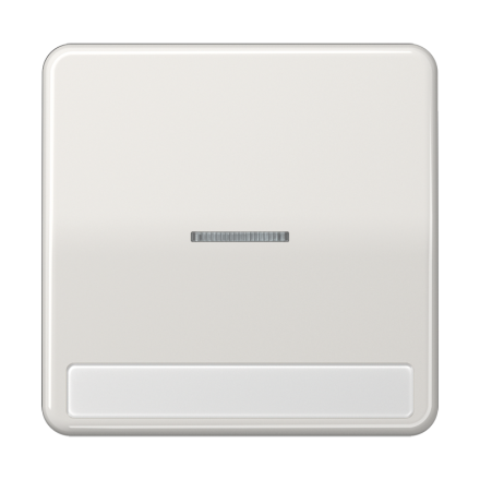 CD590NAKO5LG Клавиша с окошком для выключателя с подсветкой и полем для надписи; светло-серая