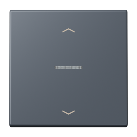 JUNG HOME кнопка, 1 группа с символами «стрелки», BT LC 17101 P262