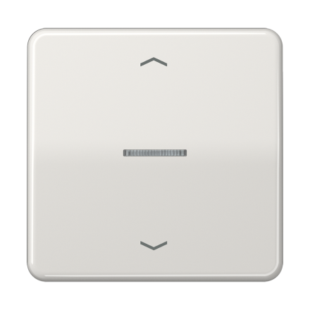 JUNG HOME кнопка, 1 группа с символами «стрелки», BT CD 17101 P LG