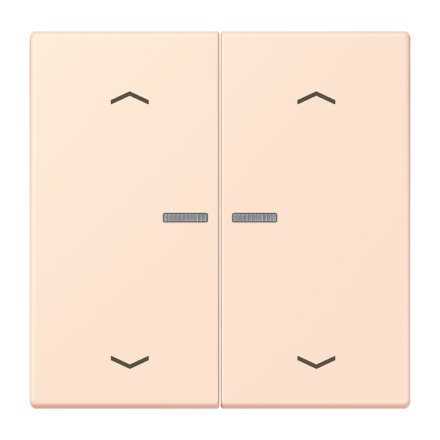 JUNG HOME кнопка, 2 группы с символами «стрелки», BT LC 17102 P226