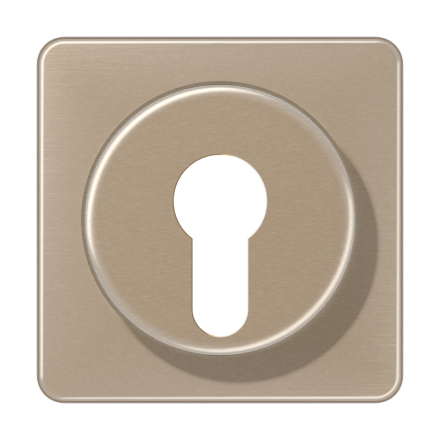 CD528GB Крышка для выключателя с замком; золотая бронза