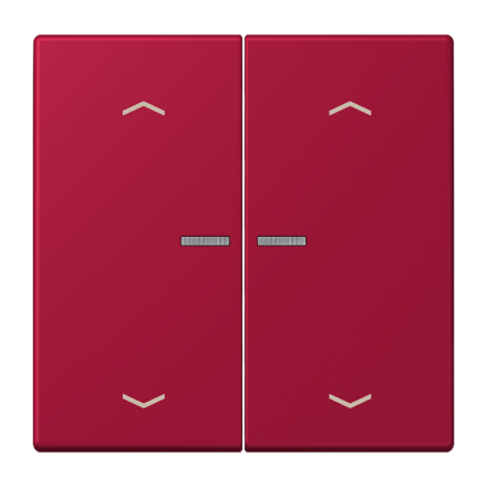 JUNG HOME кнопка, 2 группы с символами «стрелки», BT LC 17102 P229