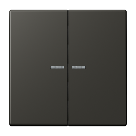 JUNG HOME кнопка, 2 группы, BT LC 17102259