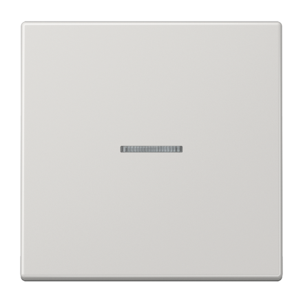 Клавиша с окошком, LS 101 KO5 LG