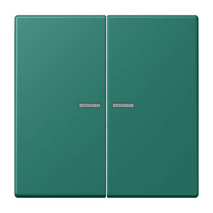 JUNG HOME кнопка, 2 группы, BT LC 17102216