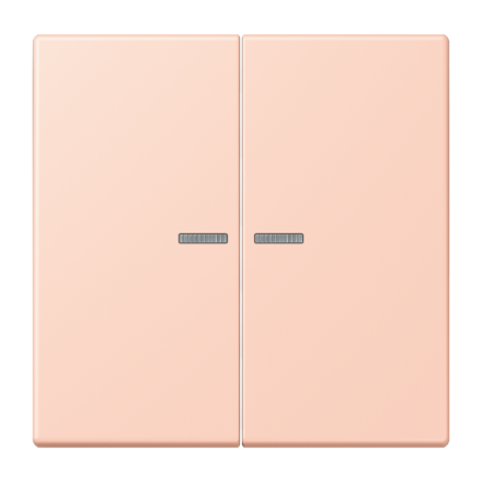 JUNG HOME кнопка, 2 группы, BT LC 17102234