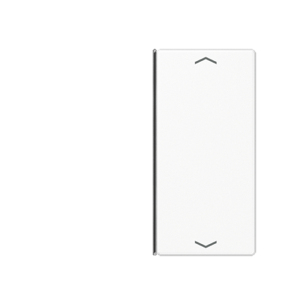 A402TSAPWW Накладка с символам