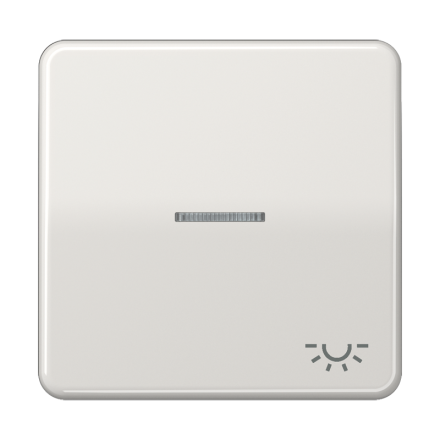 CD590KO5LLG Клавиша с окошком и символом освещение для выключателей с подсветкой; светло-серая