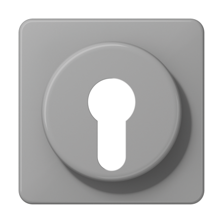 CD528GR Крышка для выключателя с замком; серая