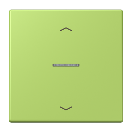 JUNG HOME кнопка, 1 группа с символами «стрелки», BT LC 17101 P221