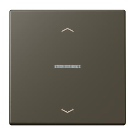 JUNG HOME кнопка, 1 группа с символами «стрелки», BT LC 17101 P241