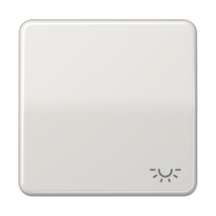 CD590LLG Клавиша с символом освещение; светло-серая