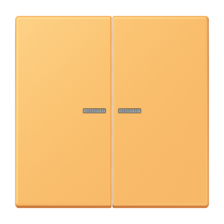 JUNG HOME кнопка, 2 группы, BT LC 17102254