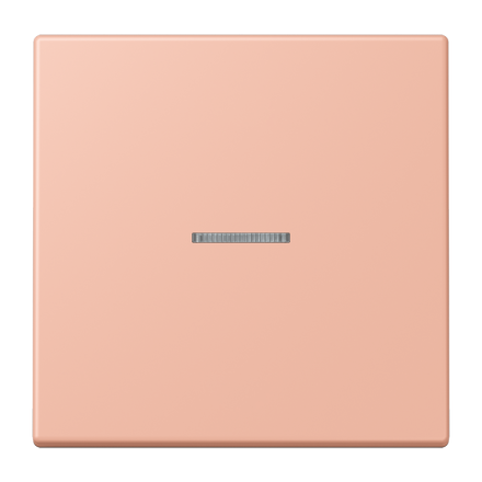 JUNG HOME кнопка, 1 группа, BT LC 17101231