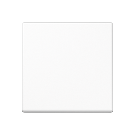 A590WW Клавиша для выключателя и кнопки; белая
