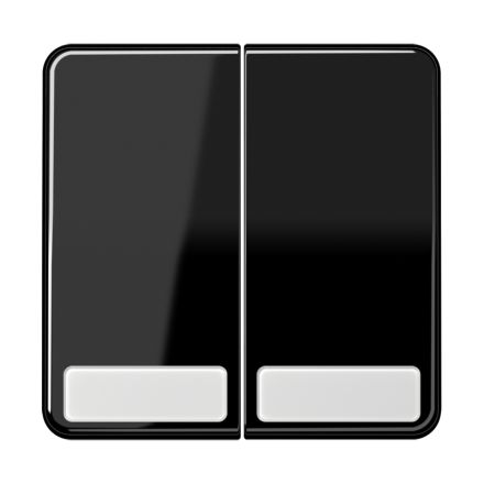 CD595NASW Клавиши для сдвоенных выключателей и кнопок с полем для надписи; черные