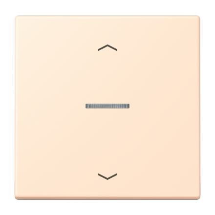 JUNG HOME кнопка, 1 группа с символами «стрелки», BT LC 17101 P238