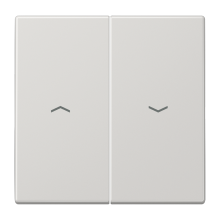 LS995PLG Клавиша для выключателя управления жалюзи; светло-серая