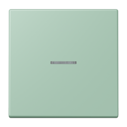 JUNG HOME кнопка, 1 группа, BT LC 17101217