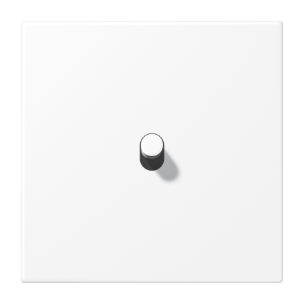 Центральная плата с тумблером «цилиндр», AL 12-0 WWM R 07