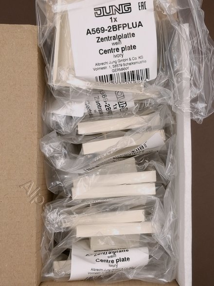 A569-2BFPLUA Крышка для модульных гнезд; слоновая кость