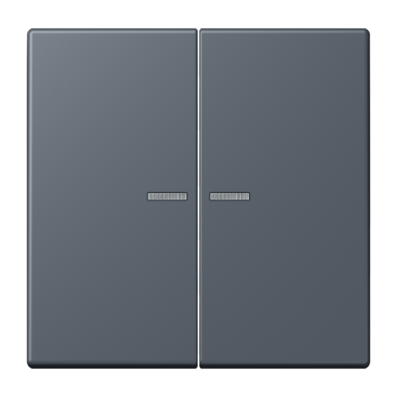 JUNG HOME кнопка, 2 группы, BT LC 17102262