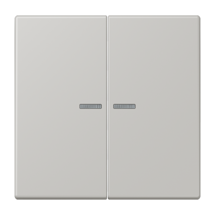 JUNG HOME кнопка, 2 группы, BT LC 17102205