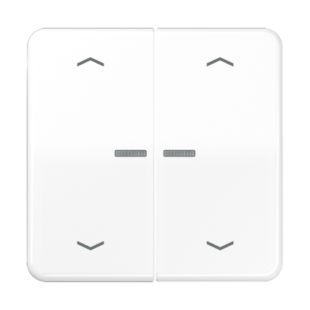 JUNG HOME кнопка, 2 группы с символами «стрелки», BT CD 17102 P WW