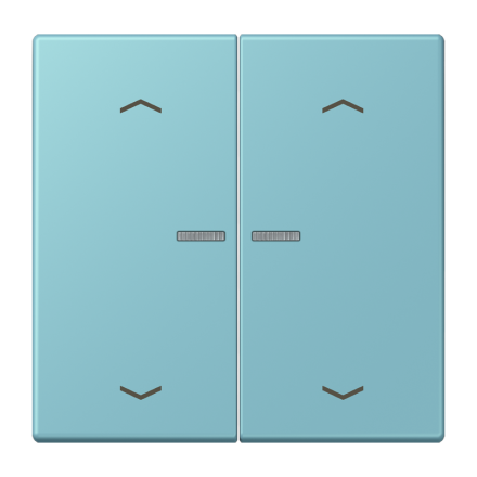 JUNG HOME кнопка, 2 группы с символами «стрелки», BT LC 17102 P213