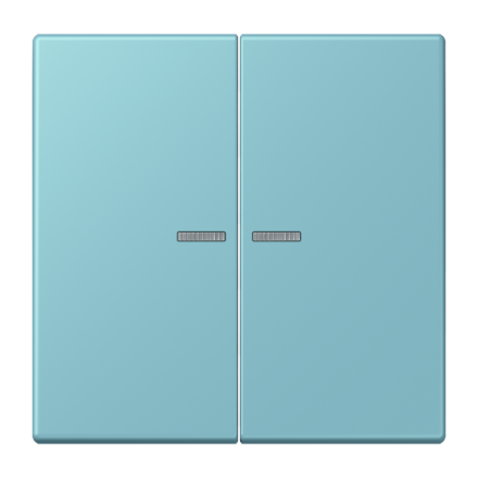 JUNG HOME кнопка, 2 группы, BT LC 17102213