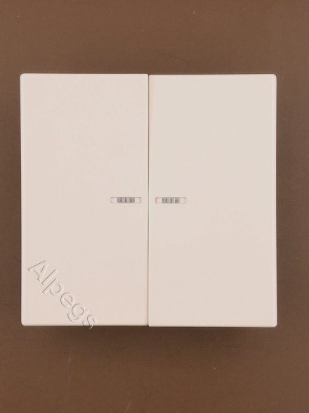 LS995KO5 Клавиши для сдвоенного выключателя с подсветкой; слоновая кость