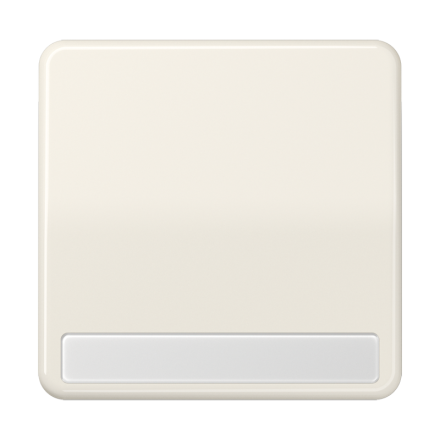 CD590NA Клавиша для выключателя и кнопки, с полем для надписи; слоновая кость