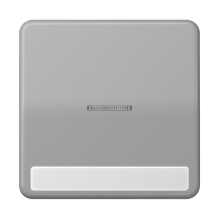 CD590NAKO5GR Клавиша с окошком для выключателя с подсветкой и полем для надписи; серая