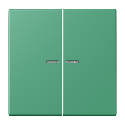 JUNG HOME кнопка, 2 группы, BT LC 17102250