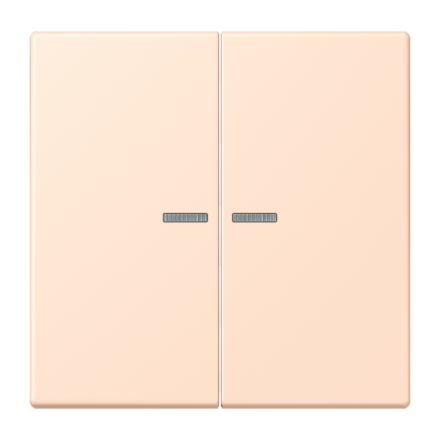 JUNG HOME кнопка, 2 группы, BT LC 17102228