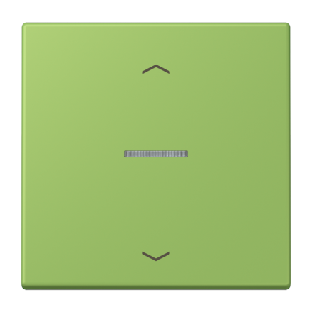 JUNG HOME кнопка, 1 группа с символами «стрелки», BT LC 17101 P220