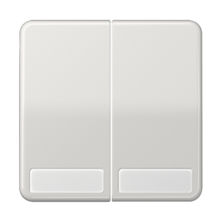 CD595NALG Клавиши для сдвоенных выключателей и кнопок с полем для надписи; светло-серые