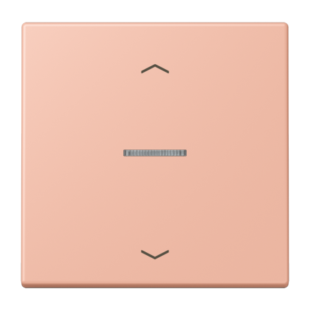 JUNG HOME кнопка, 1 группа с символами «стрелки», BT LC 17101 P231