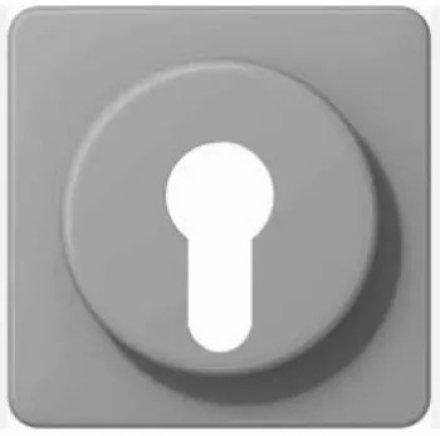 CD528GR-KB Крышка для выключателя с замком; серая