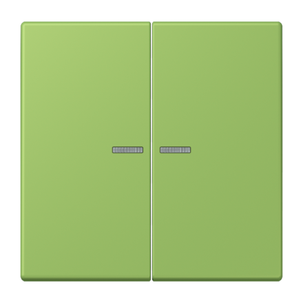 JUNG HOME кнопка, 2 группы, BT LC 17102220