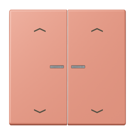 JUNG HOME кнопка, 2 группы с символами «стрелки», BT LC 17102 P233