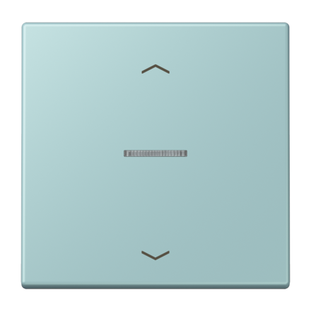 JUNG HOME кнопка, 1 группа с символами «стрелки», BT LC 17101 P214